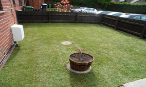 lawn Project1